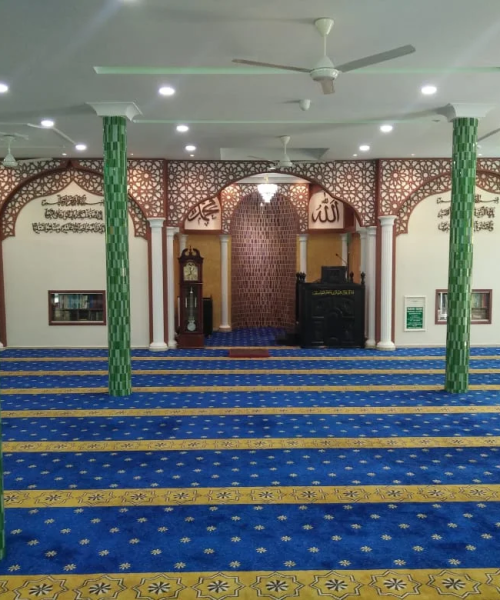 2023-06-23-elementor-io-optimized